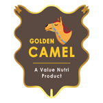 Golden Camel Logo